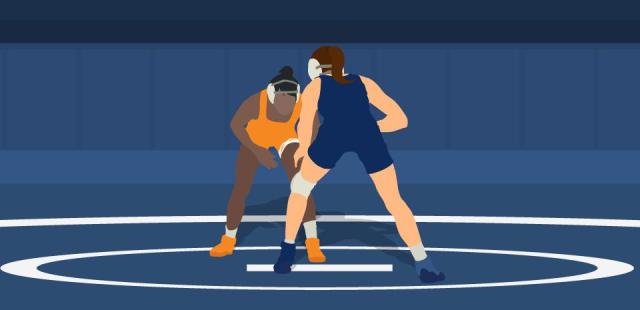 se social wrestling camps