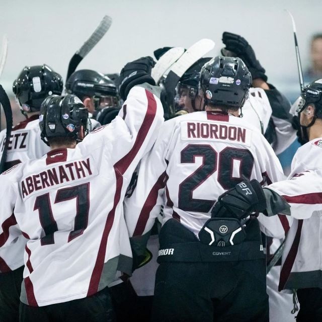Hockey players congratulating each other