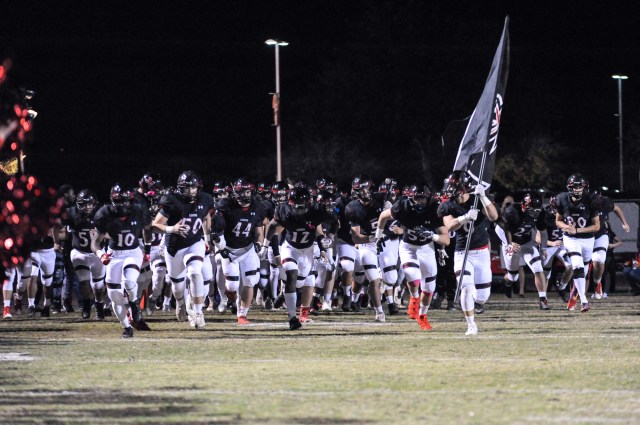 Liberty Lions