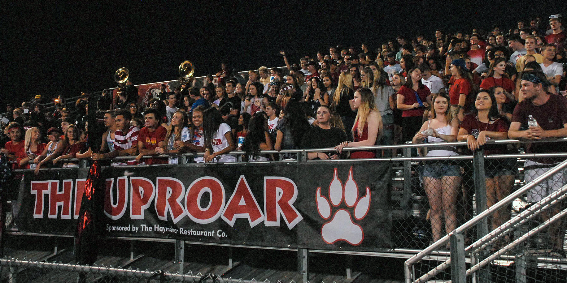 Liberty Lions Fans