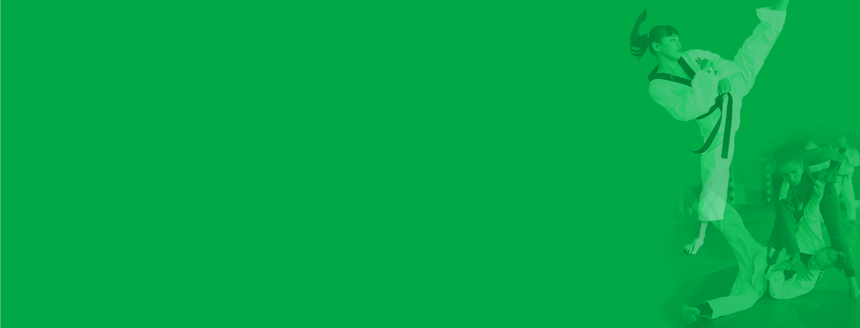 Martial Arts green background