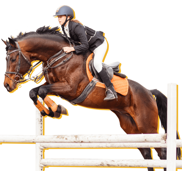 Olympic Equestrian Sport Directory Hero Foreground