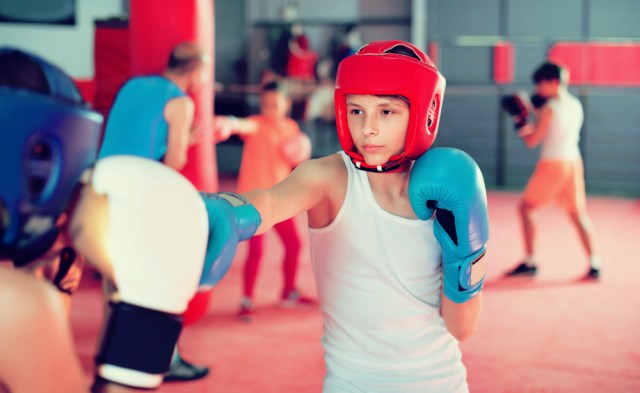 Two young boxers