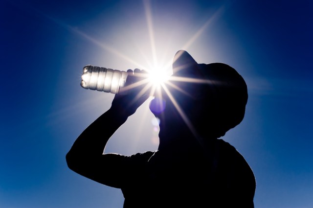shutterstock_118756735