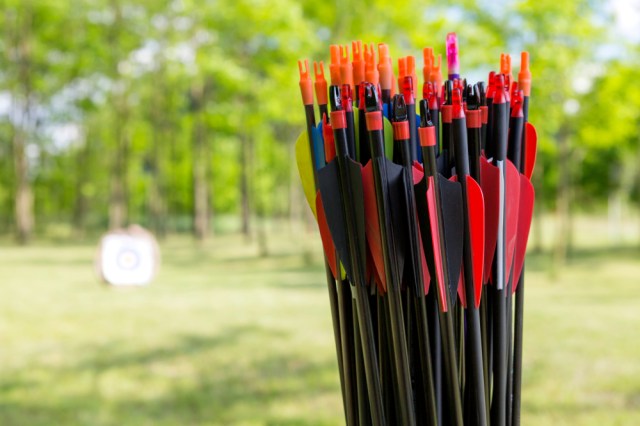 Archery arrows