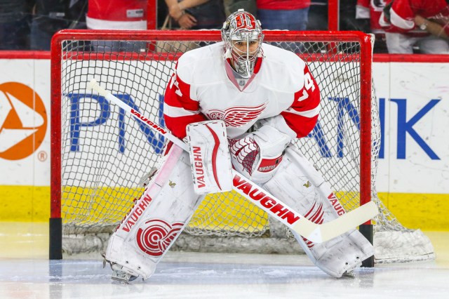 Detroit Red Wings goalie Petr Mrazek