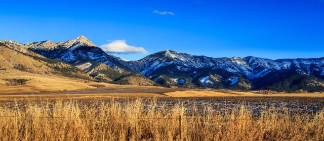 shutterstock_351522635