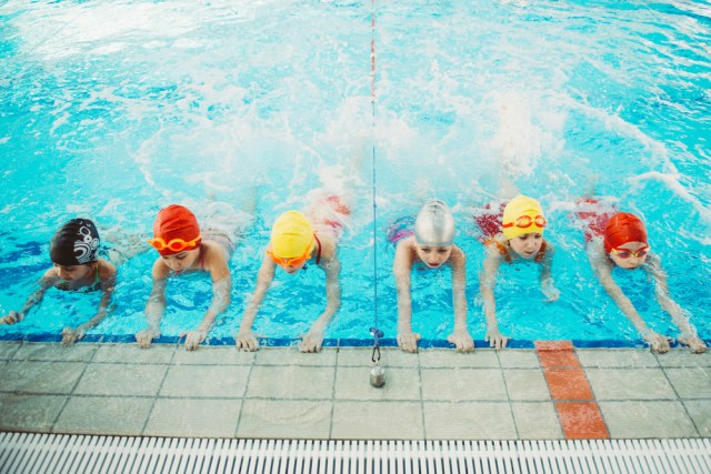 Eight Swimmers on How the Sport Has Stuck With Them