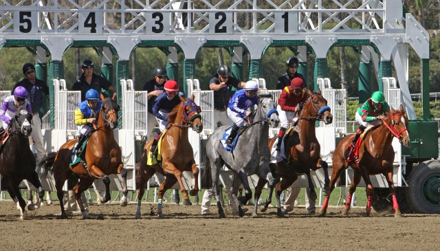 Jockey Martin Garcia pilots "Stirred Up"