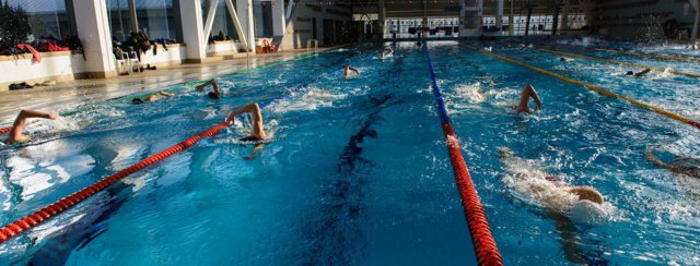 Swimmers