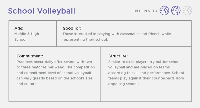 School Volleyball