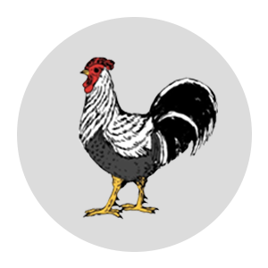 Dorking Swim Club Logo
